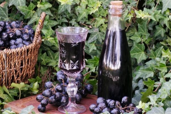 iskusstvo-domashnego-vinodeliya