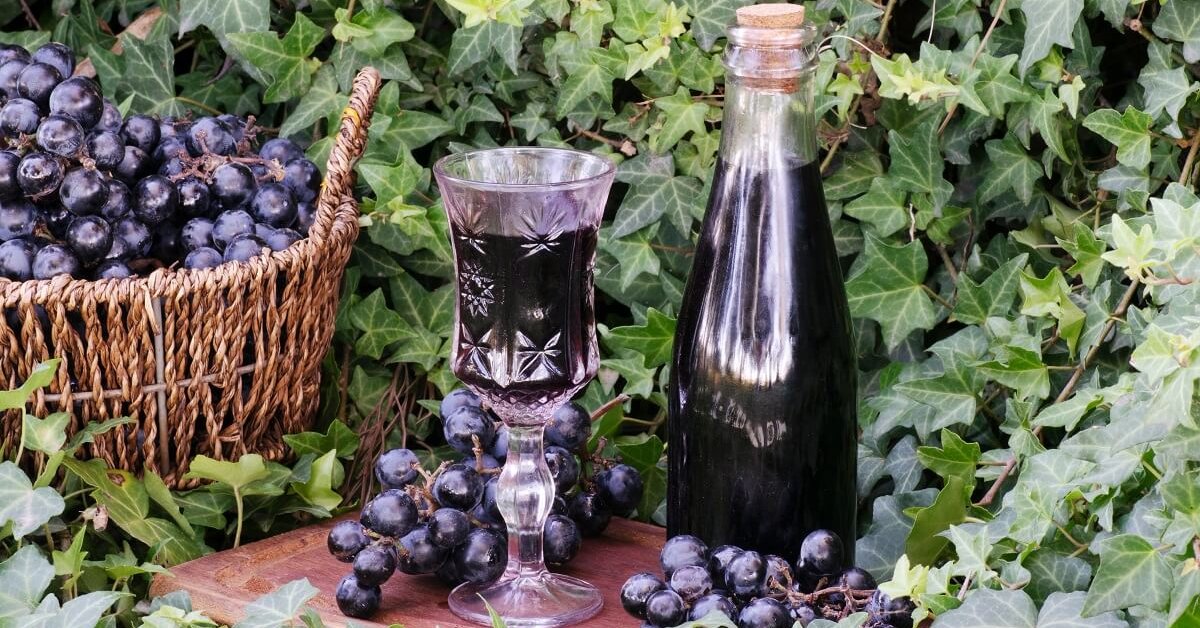iskusstvo-domashnego-vinodeliya